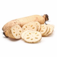 Akar Teratai | Lotus Root - 1 Kg