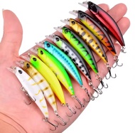 UMPAN CASTING LURE HARD MINOW S60 ULTRALIGHT 6cm/4.5gr