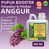 Pupuk Pelebat Buah Anggur / Pupuk Buah Anggur / Pupuk Booster Buah Anggur / Pupuk Buah Anggur