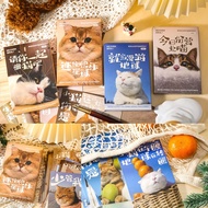 Cat Photo Photography Birthday Greeting Card Postcard Thank You Wishes Kitten Wish Gift Card Best Wi