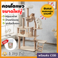 🐱O My Pet!🐶 คอนโดแมวหลังใหญ่ งานไม้ทั้งหลัง สไตล์มินิมอล สูง156 CM ปีนป่ายได้ดี บ้าน 2 หลัง พร้อมหล