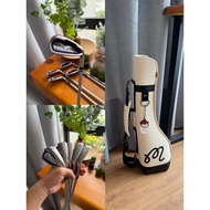 【Used】Mizuno Eurus Ladies Golf Iron Set 5cps ~ L Flex