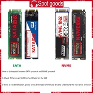 WIN Reliable M 2 SSD Connector Card M 2  NVME SSD Adapter Easy Installation  Driver Needed B Key Ext