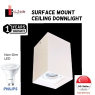 CEILING LIGHT SURFACE MOUNT WITH RETRO FIT GU10 LED PHILIPS