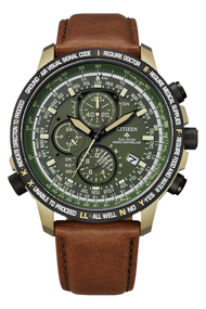 Citizen Promaster Eco-Drive Titanium Men's Watch AT8194-11X