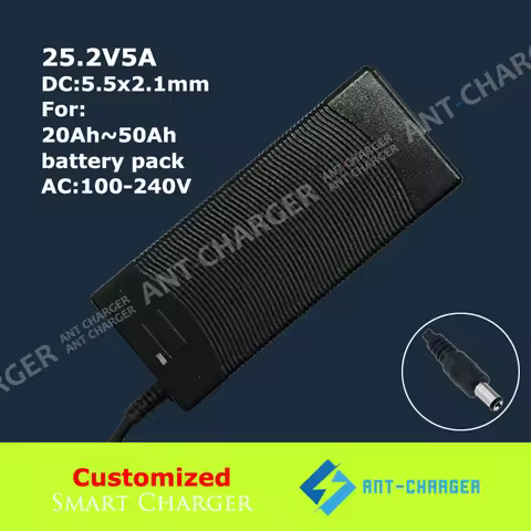 Custom 25.2V 0.5A 1A 2A 3A 5A Smart Charger 21.6V 22.2V 24V 6s 18650 Lipo Li-ion Lithium Ion LiCoO2 
