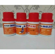 baron melson b plus