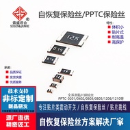 PPTC0201 Patch Self-Recovery Fuse 0402 Circuit Protection 0603 Recoverable 0805 Full Range 1206