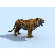 Not Realistic/Realistic Tiger 3max Model/Tiger Binding Belt Action/Tiger Animation 3d Model/