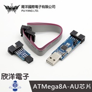 Puyang Download Cable+Seat AVR USBASP Downloader Boot loader Burner (1477) Suitable For Arduino