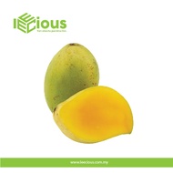 Leecious Fresh Fruits  Mango 1 pcs
