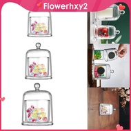 [Flowerhxy2] Glass Cloche Dome Tabletop Ornament for Fairy Lights Pillar Candles Jewelry