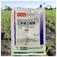 [ORIGINAL] 40g Racun Siput Gondang Mas / Babi / Poison Gondang Emas