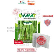 Benih Buncis Patih MMT SEED 500 Gram