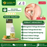 Obat Tetes Kuping Bernanah Berair Curek Telinga Anak dan Dewasa Obat Telinga Bernanah Bau Infeksi Te