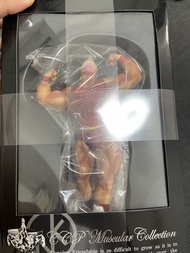 筋肉人ccp
