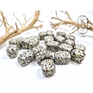 Natural Tumbling Dalmatian Jasper used for Tarot cards, handmade jewelry, reiki healing...
