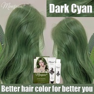 Monsoon+ Drak Green Hot selling Hair Dye dye hair colour hair colour dye rambut hair dye colour Pewa