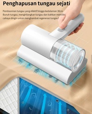 NANOTECH REMOVAL debu capsme