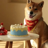 Pet Cat Dog Happy Birthday Party Decoration Dress up Scarf Photo Props Scarf Bib Saliva Towel EQ16