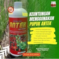 Pupuk Kebun Anti Patek & Keriting NPK 12-15-20 1 Liter - Solusi Pertumbuhan Tanaman