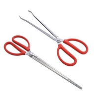 Eel Catcher, Snake Catcher, Seafood Catcher