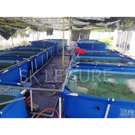 INTEX SWIMMING POOL / Kolam Renang Kolam kanvas Ikan /Metal frame swimming pool