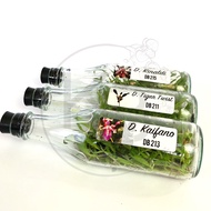 ANGGREK DENDRO KERITING BOTOLAN | ANGGREK DENDRO DALAM BOTOL | ANGGREK DENDRO