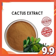 Cactus Extract Powder Halal Food Nopal Cactus 10g
