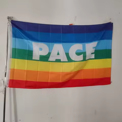 World Peace Pace Rainbow 1961 Flag 2x3ft 3x5ft Polyester Four Hole Banner for Outdoor Decor Room Aes