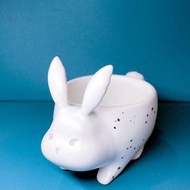 💥半價🪐星空兔迷你杯🐇 ❤️‍🔥$150 (原價$288) 💠Starbucks Limited espresso mug  🌱 plantation  mini plant  星巴克 🧜‍♀️ 🩵絕