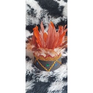 Carnival Hat/Feather Hat