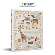 Cá Chép - Atlas động vật