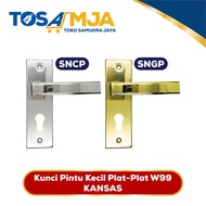 Thick Cylinder Door Lock l House Handle l Full Set Handle | Door HANDLE/Door HANDLE/Small Door Lock Plate W99 KANSAS