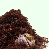 MUHONGYU | Dedicated Moisture-retentive Crab Coconut Substrate