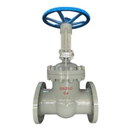 Gate Cast Steel Flanged Valve Z41H-40/64/100 Rising Stem DN40 DN50 DN65 DN100 Imported