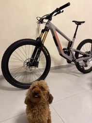 Santa Cruz Nomad 碳纖維全避震單車