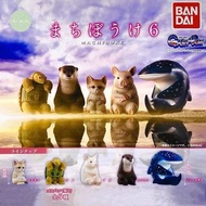 發呆動物 6 Machiboke 半蹲動物 蹲下動物 等待動物 呆等動物 放空動物 龜 貓 豬 海獺 鯨鯊 動物扭蛋 扭蛋 日本扭蛋 日本代購 景品 玩具 公仔 擺設 figure 周邊 盒玩 盒蛋 
