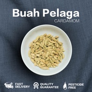 (HARGA BORONG) BUAH PELAGA / CARDOMO 1KG± (READY STOCK)