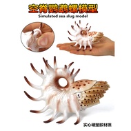 Simulation Ancient Ocean Prehistoric Biological Spine Parrot Snail Cyptomite Ammonite Model Toys Pla