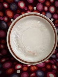 日本 Autumn collection stoneware SANIBEL Plate 碟 (焗爐 微波爐 洗碗碟機 可用）