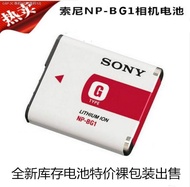 SANPAN SONY DSC - H50 H9 H10 H70 HX7 HX9 HX5 T20 digital camera charger   battery BG1