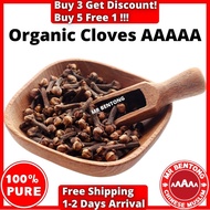 MSB Organic India Cloves Spice Herbs Herba Bunga Cengkih Wangi Doorgift Dropship