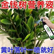 【有機肥】【花肥】【永不黃葉】金錢樹營養液 專用肥料 發黃落葉一噴綠花肥 盆栽液態肥