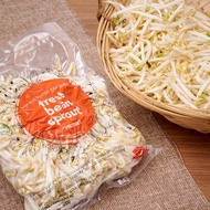 RedMart Bean Sprouts 300G