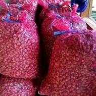 Bawang merah brebes super 10 kg - Bawang merah brebes super besar