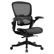 Hinomi H1 Classic V3 Ergonomic Office Chair / Computer Chair/ Mesh Chair With 3D Back Support For Home