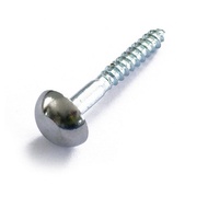 Mirror Screw with Brass Chrome Cap.