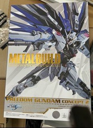 Metal Build Freedom Concept 2