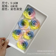 [B Grade Immortal Rose 4-5CM5-6CM] Immortal Rose Flower Head Preserved Flower